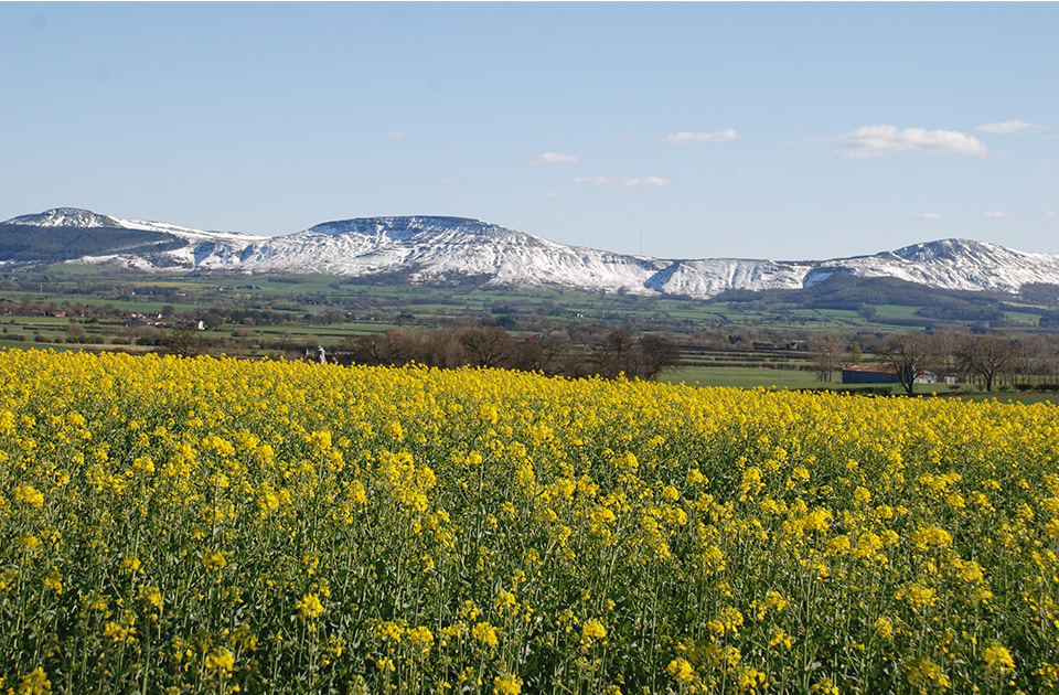 View to the hills, north-east Yorkshire