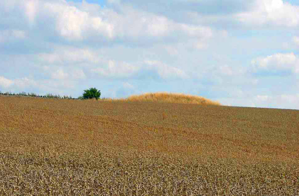 Early Bronze Age burial mound, North Yorkshire